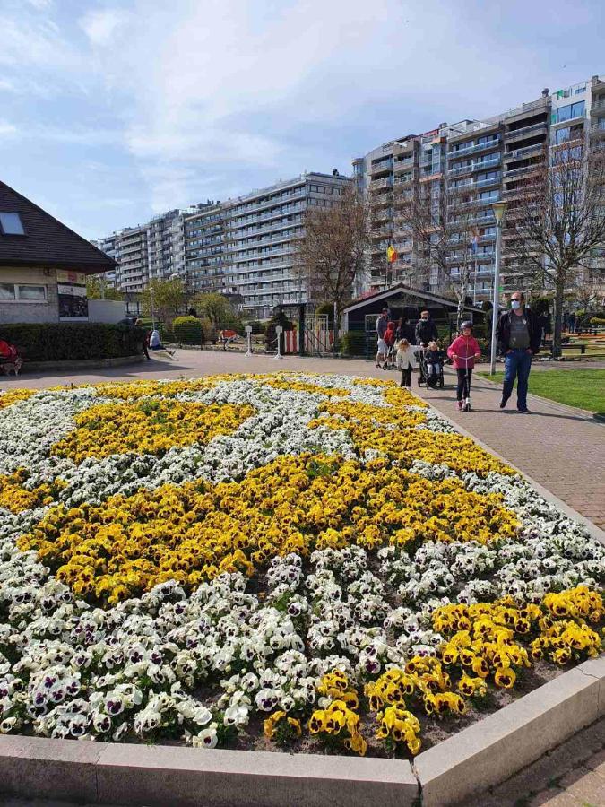 Ferienwohnung Sun And Fun Blankenberge Exterior foto